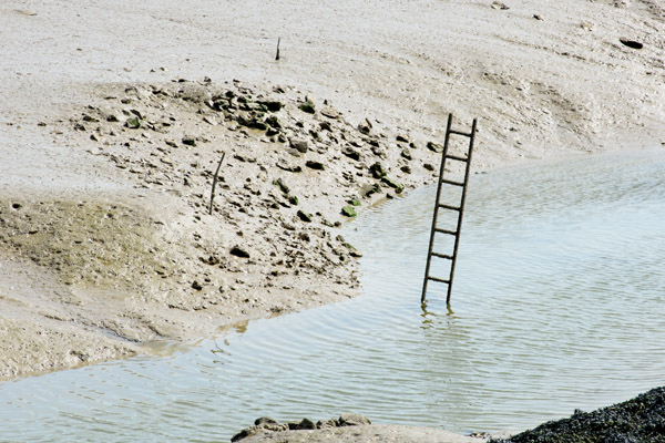 ladder in mud